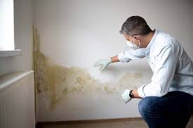 Best Residential Mold Inspection & Testing  in Davenport, WA